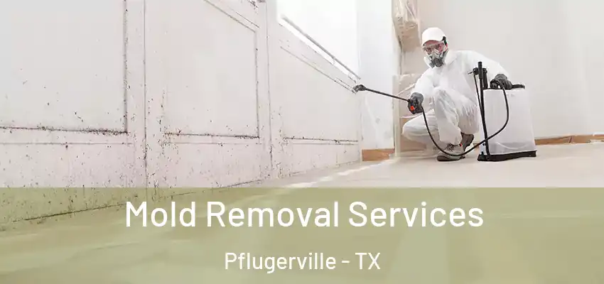  Mold Removal Services Pflugerville - TX