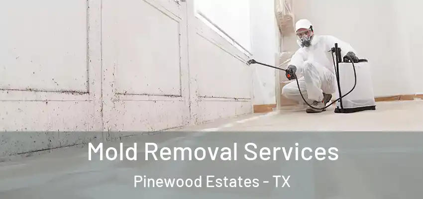  Mold Removal Services Pinewood Estates - TX