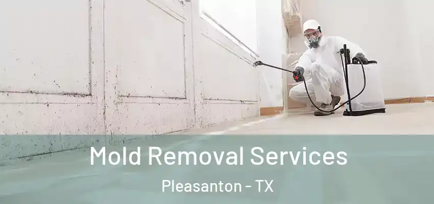  Mold Removal Services Pleasanton - TX