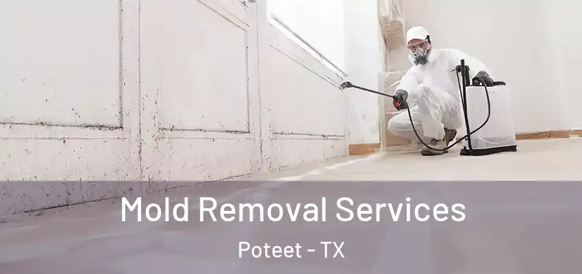  Mold Removal Services Poteet - TX