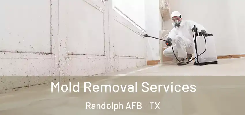  Mold Removal Services Randolph AFB - TX