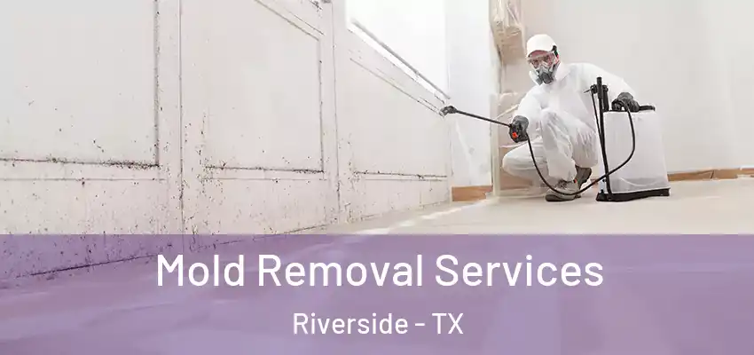  Mold Removal Services Riverside - TX