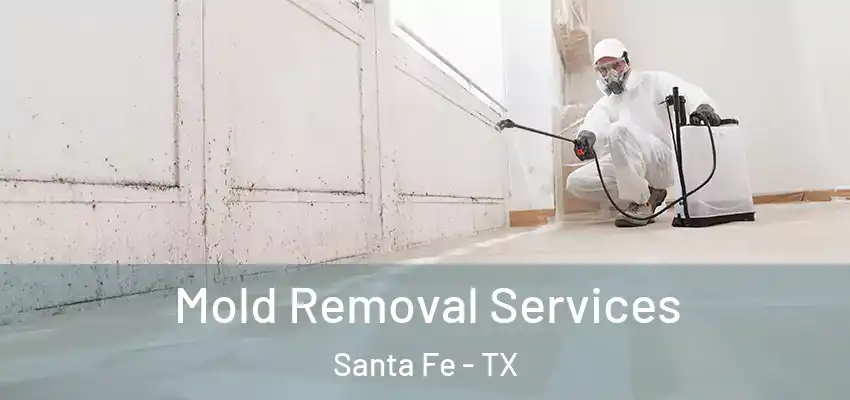  Mold Removal Services Santa Fe - TX
