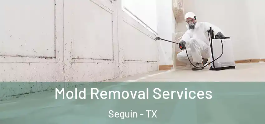  Mold Removal Services Seguin - TX
