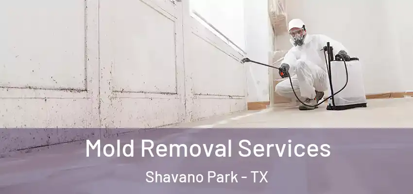  Mold Removal Services Shavano Park - TX