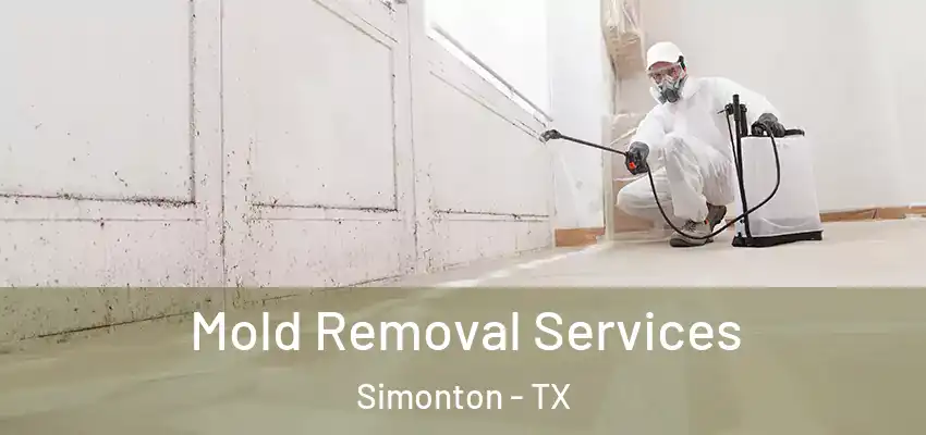  Mold Removal Services Simonton - TX