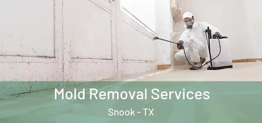  Mold Removal Services Snook - TX