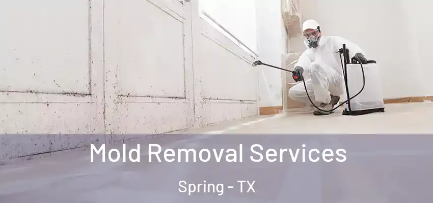  Mold Removal Services Spring - TX