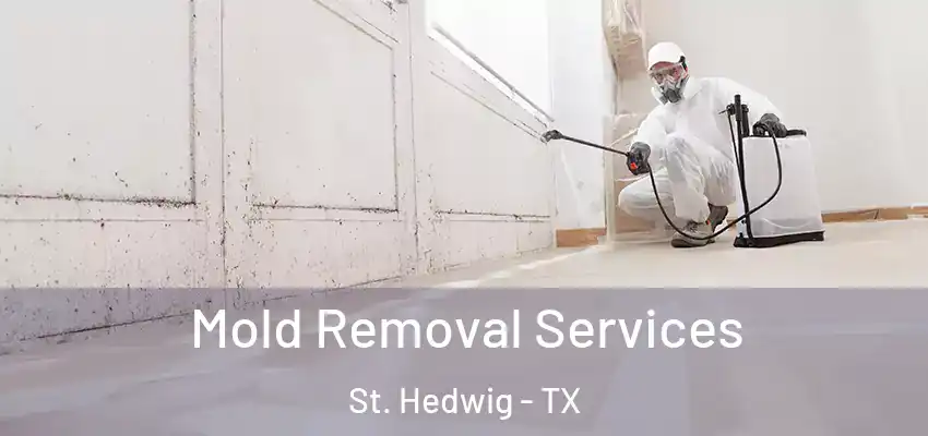  Mold Removal Services St. Hedwig - TX