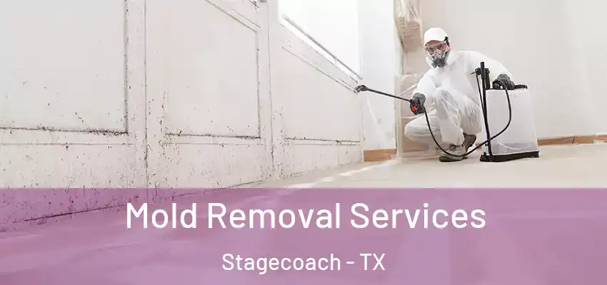  Mold Removal Services Stagecoach - TX