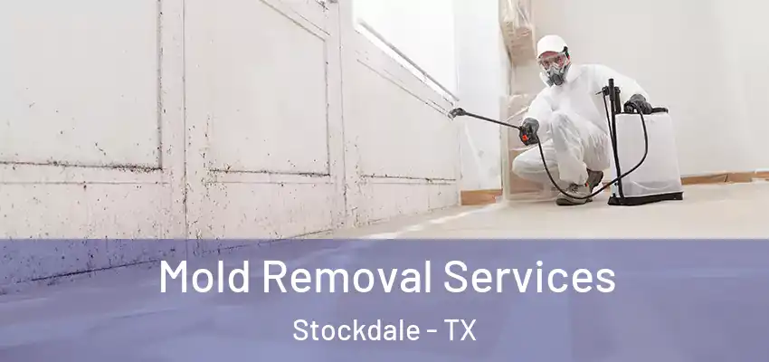  Mold Removal Services Stockdale - TX