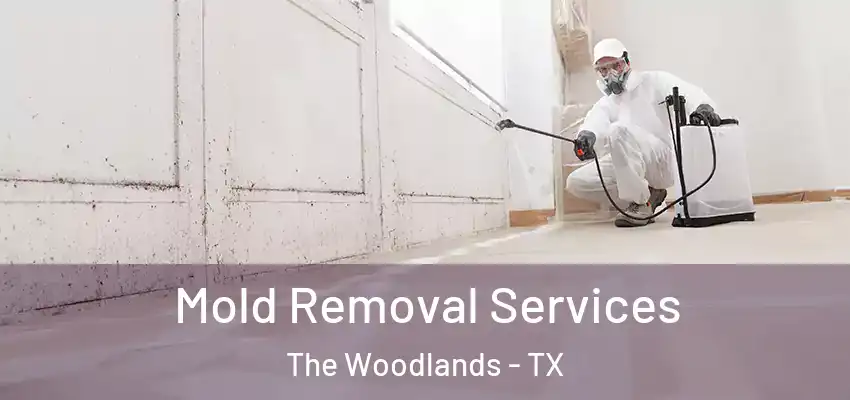  Mold Removal Services The Woodlands - TX