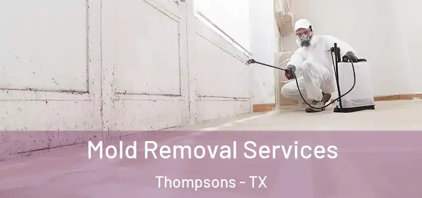  Mold Removal Services Thompsons - TX
