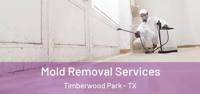  Mold Removal Services Timberwood Park - TX