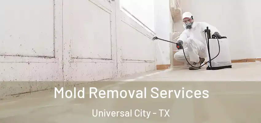 Mold Removal Services Universal City - TX