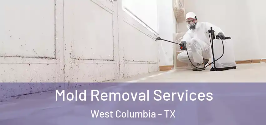  Mold Removal Services West Columbia - TX