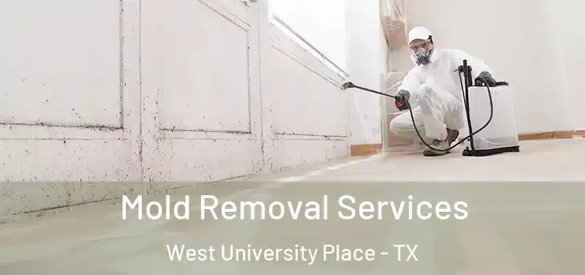  Mold Removal Services West University Place - TX