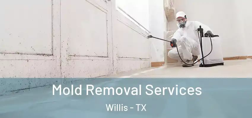  Mold Removal Services Willis - TX
