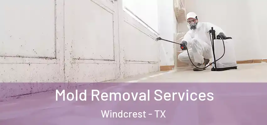  Mold Removal Services Windcrest - TX