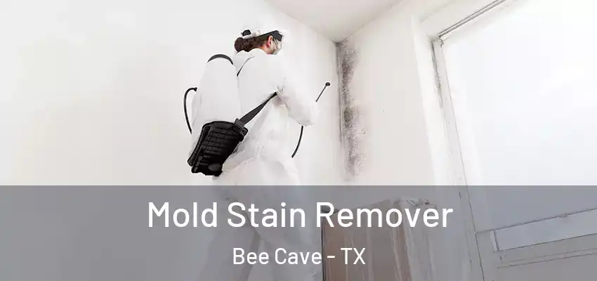  Mold Stain Remover Bee Cave - TX