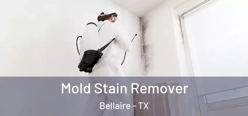  Mold Stain Remover Bellaire - TX