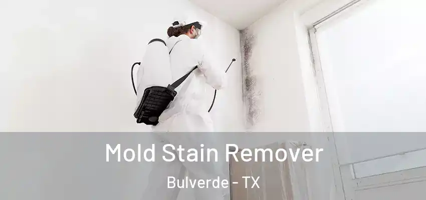  Mold Stain Remover Bulverde - TX
