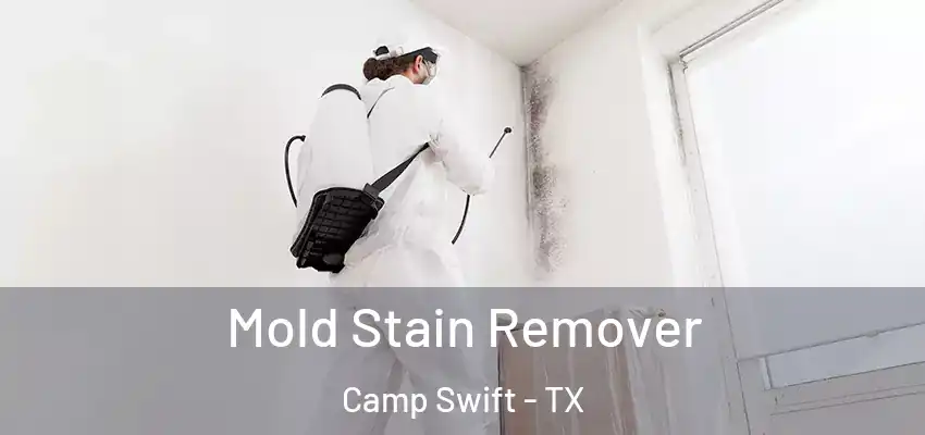  Mold Stain Remover Camp Swift - TX