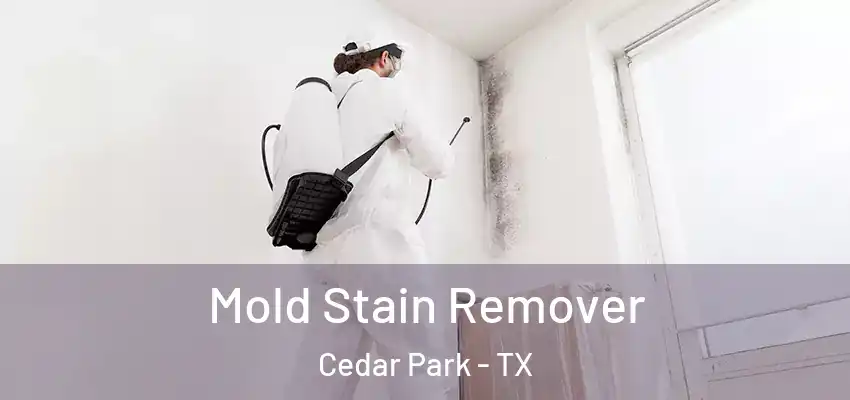  Mold Stain Remover Cedar Park - TX