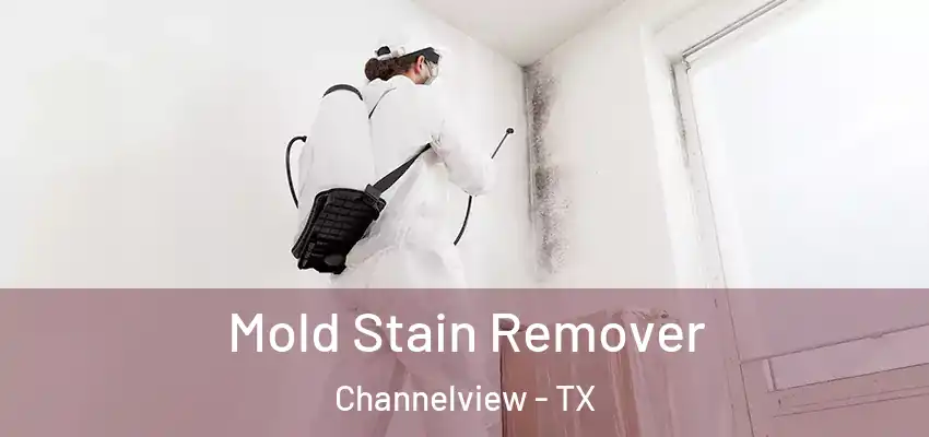  Mold Stain Remover Channelview - TX