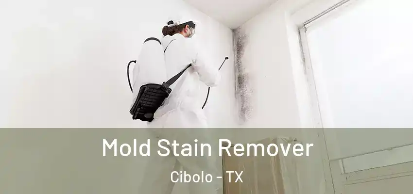  Mold Stain Remover Cibolo - TX
