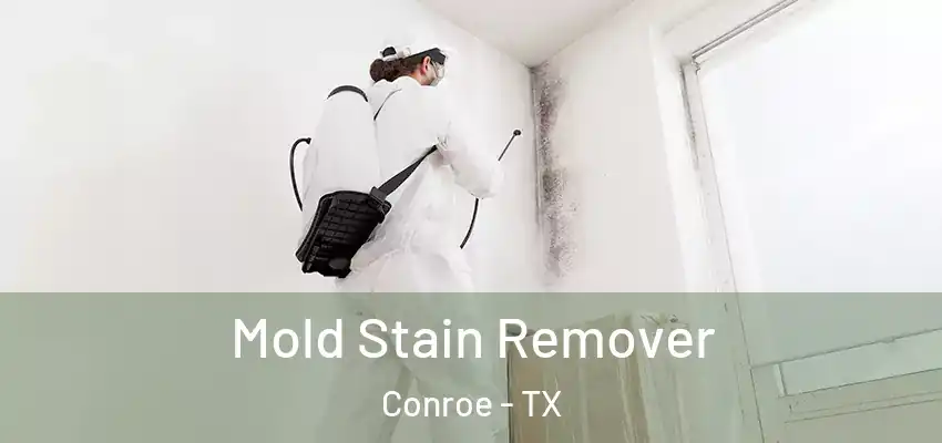  Mold Stain Remover Conroe - TX