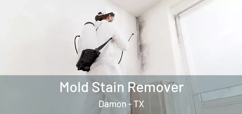  Mold Stain Remover Damon - TX
