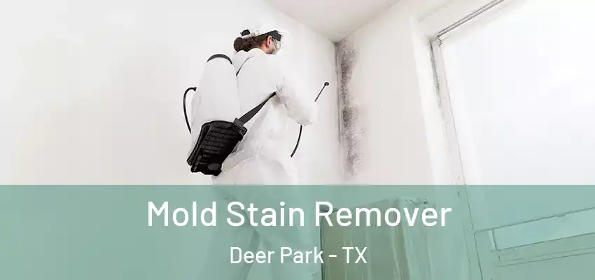  Mold Stain Remover Deer Park - TX