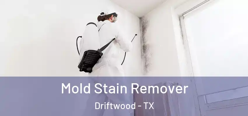  Mold Stain Remover Driftwood - TX