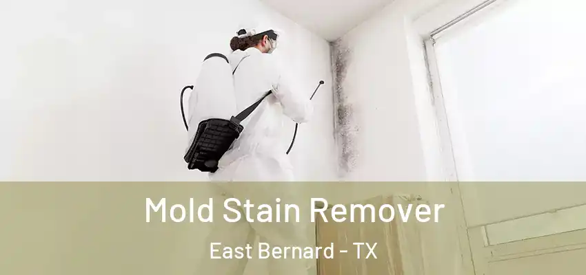  Mold Stain Remover East Bernard - TX
