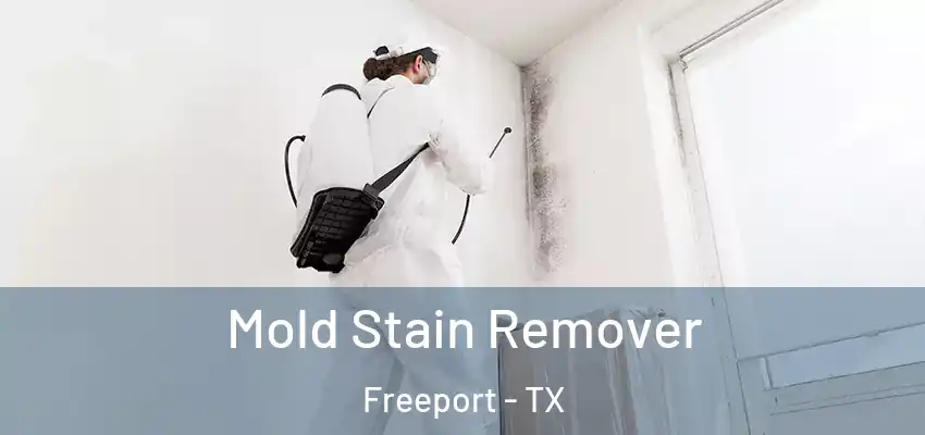  Mold Stain Remover Freeport - TX