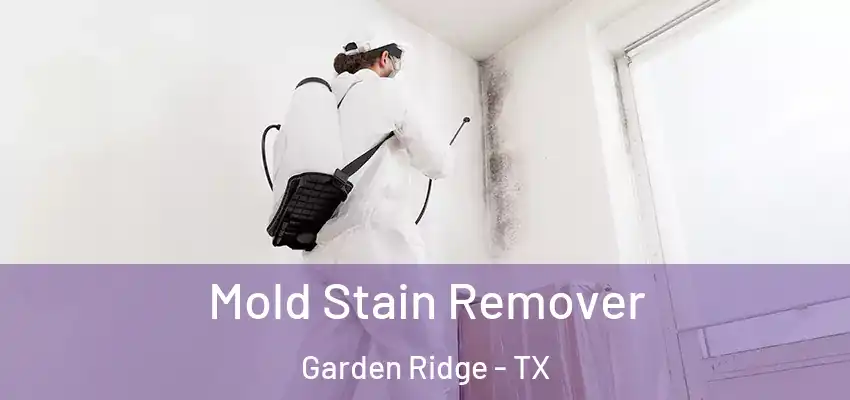  Mold Stain Remover Garden Ridge - TX