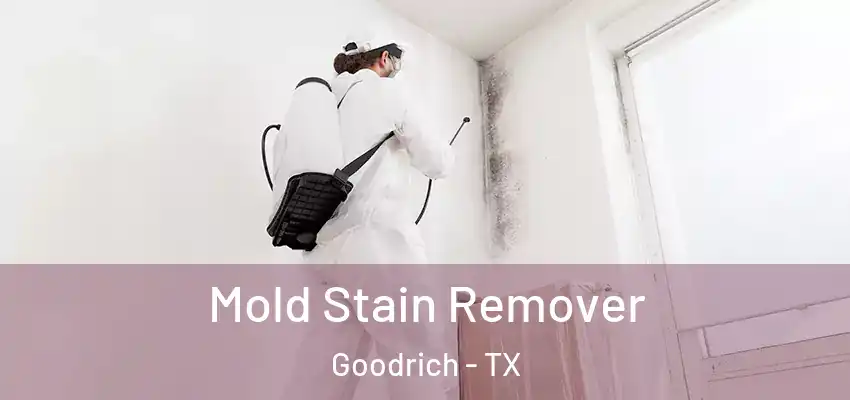  Mold Stain Remover Goodrich - TX