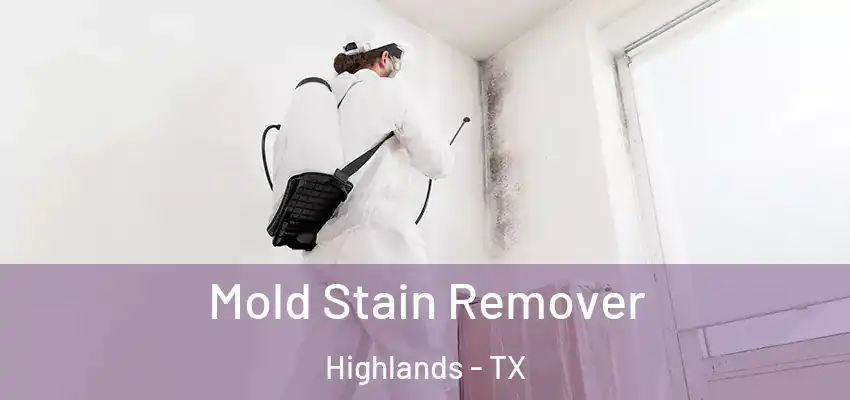  Mold Stain Remover Highlands - TX