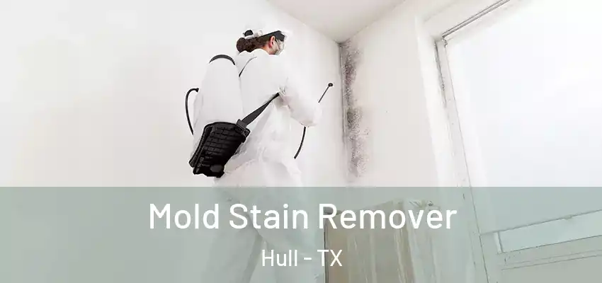 Mold Stain Remover Hull - TX