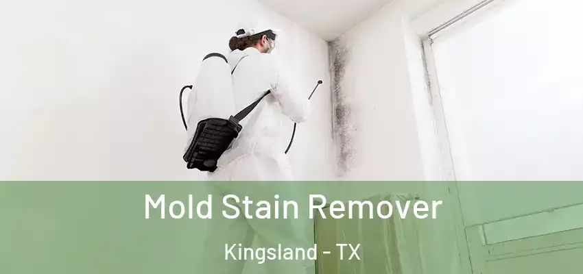  Mold Stain Remover Kingsland - TX