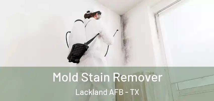  Mold Stain Remover Lackland AFB - TX