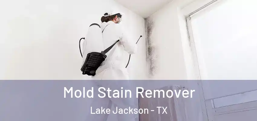  Mold Stain Remover Lake Jackson - TX