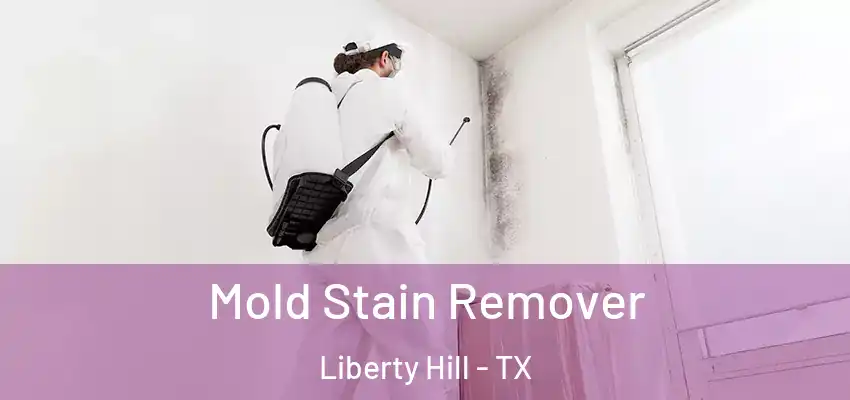  Mold Stain Remover Liberty Hill - TX