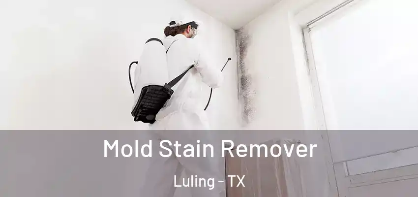  Mold Stain Remover Luling - TX
