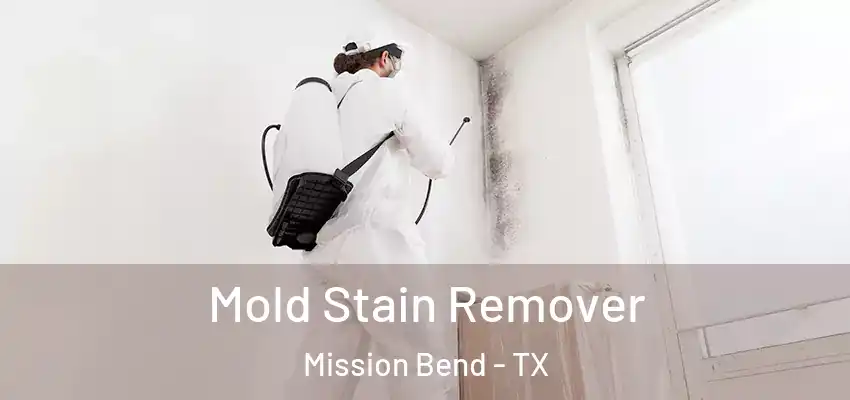  Mold Stain Remover Mission Bend - TX