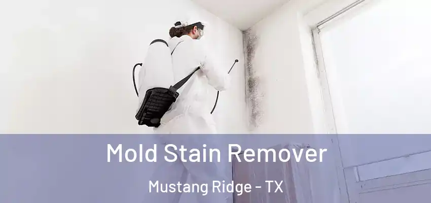  Mold Stain Remover Mustang Ridge - TX