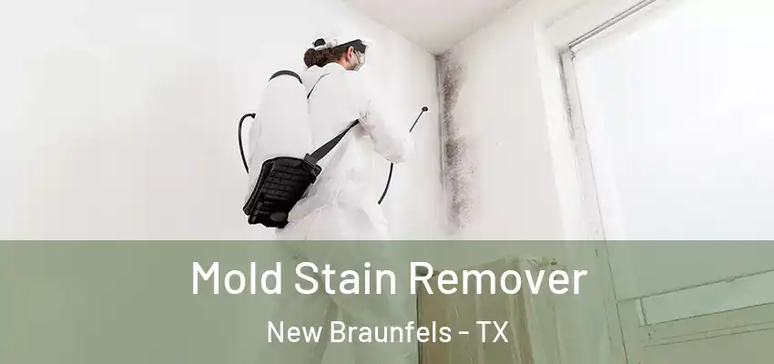 Mold Stain Remover New Braunfels - TX