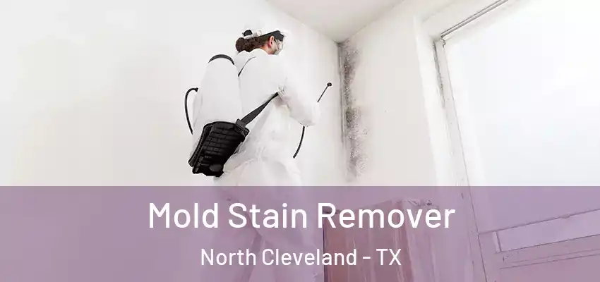  Mold Stain Remover North Cleveland - TX