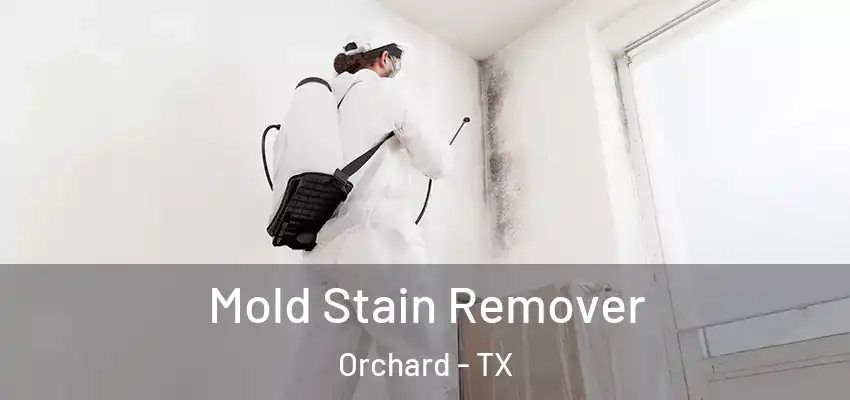  Mold Stain Remover Orchard - TX